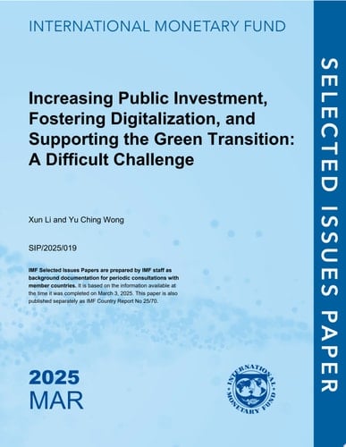 Increasing Public Investment, Fostering Digitalization, and Supporting the Green Transition A Difficult Challenge