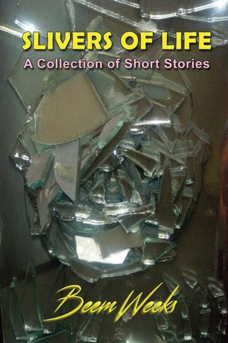 Slivers of Life A Collection of Short Stories