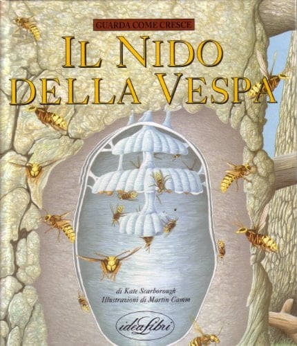 Il nido della vespa