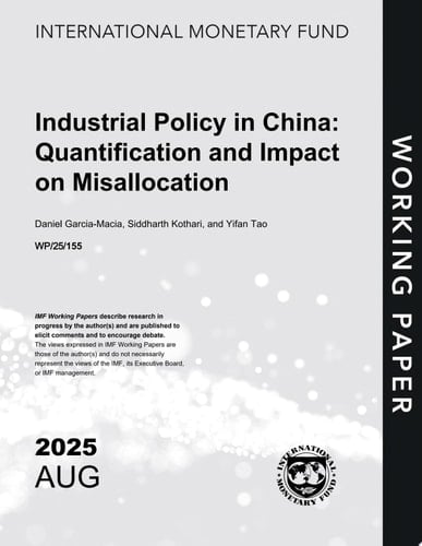 Industrial Policy in China Quantification and Impact on Misallocation