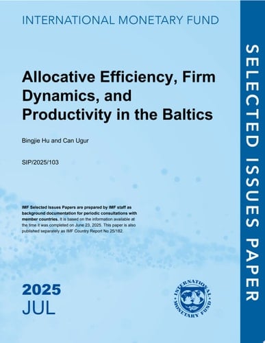 Allocative Efficiency, Firm Dynamics, and Productivity in the Baltics Republic of Estonia