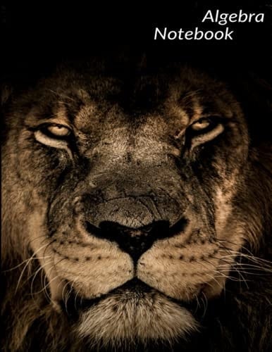 Notebook: Algebra Notebook (8.5 X 11in), College Ruled and 120 Sheets