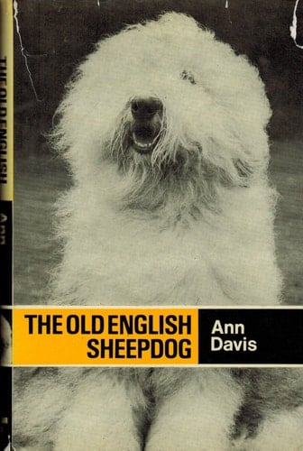 The Old English Sheepdog