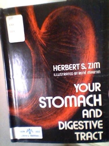 Your Stomach and Digestive Tract