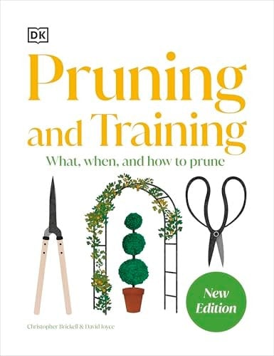 Pruning and Training What, When, and How to Prune