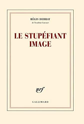 Le stupéfiant image de la grotte Chauvet au Centre Pompidou