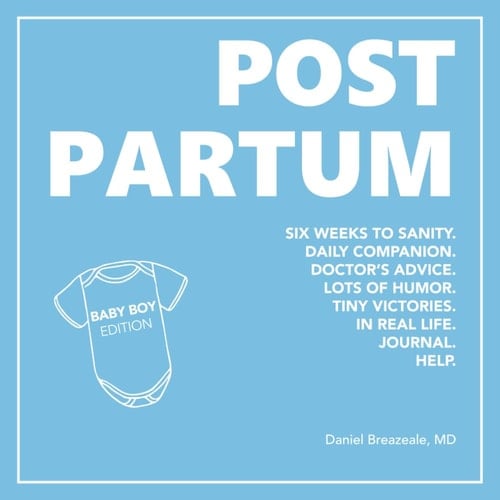 Postpartum Six Weeks to Sanity, Daily Companion, Doctor's Advice, Lots of Humor, Tiny Victories, in Real Life, Journal, Help, Baby Boy Edition