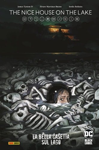 The nice house on the lake