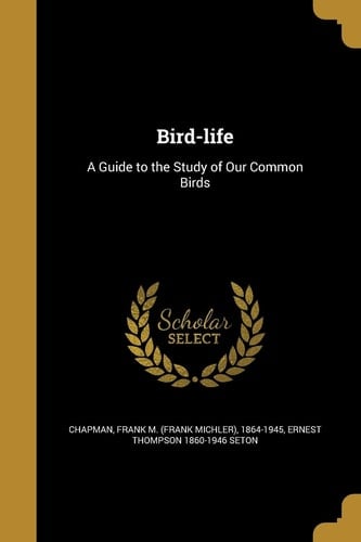 Bird-Life A Guide to the Study of Our Common Birds