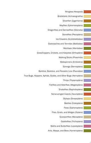 Field Guide to California Insects Second Edition