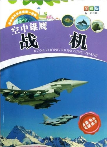 Warplanes in the Air (Full Colr Version) (Chinese Edition)