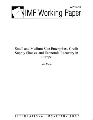 Small and Medium Size Enterprises, Credit Supply Shocks, and Economic Recovery in Europe