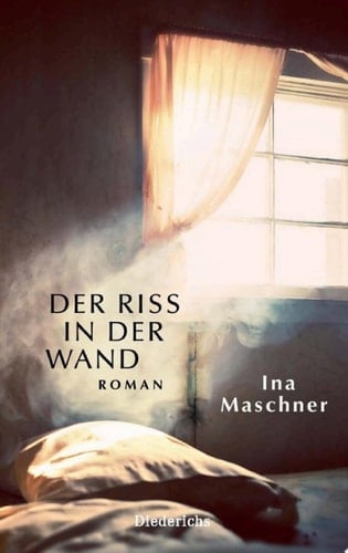 Der Riss in der Wand Roman