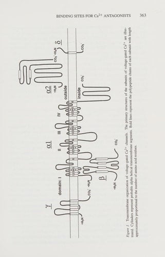 Annual Review of Pharmacology and Toxicology