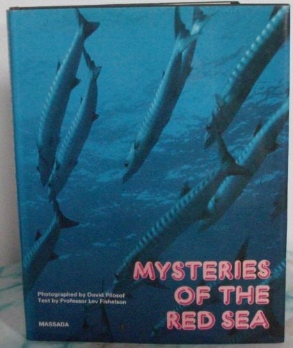 Mysteries of the Red Sea