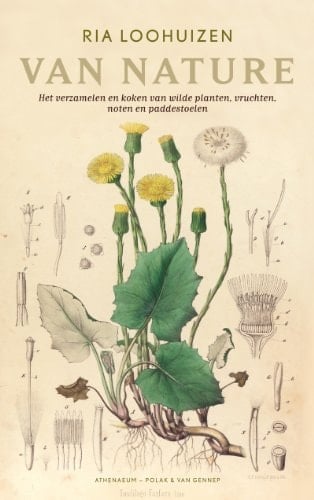 Van nature het verzamelen en koken van wilde planten, vruchten, noten en paddestoelen