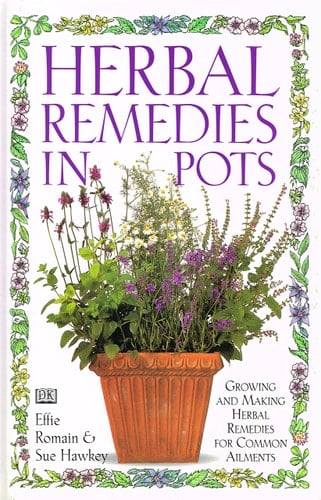Herbal Remedies in Pots