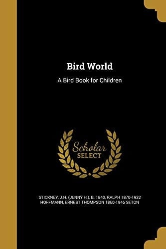 Bird World A Bird Book for Children
