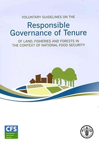 Land Tenure Journal 2013/1