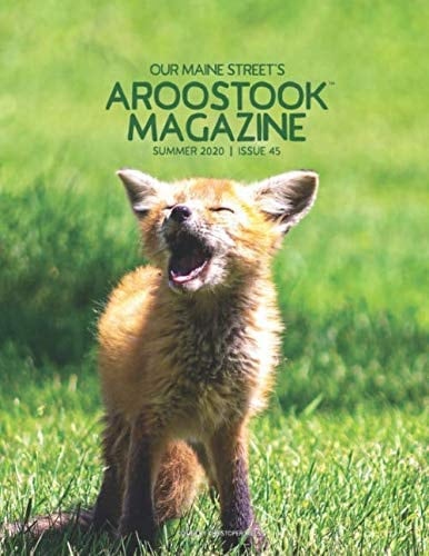 Our Maine Street's Aroostook Issue 45
