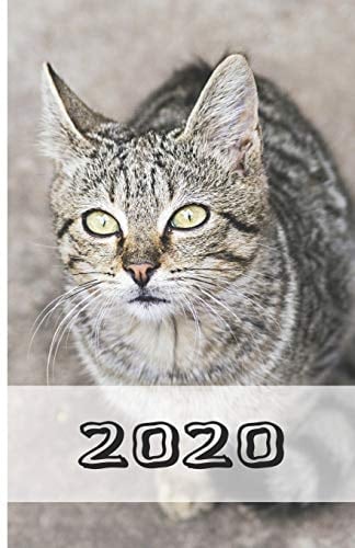 2020 Katzenkalender