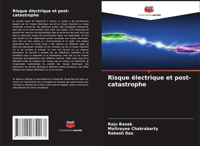Risque électrique et post-catastrophe (French Edition)