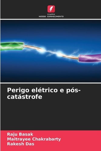 Perigo elétrico e pós-catástrofe (Portuguese Edition)
