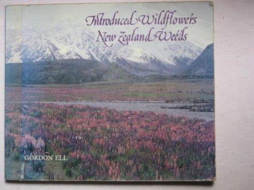 Introduced wildflowers, New Zealand weeds
