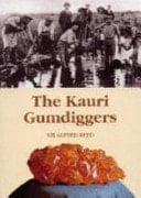 New Zealand Ghost Towns and Glimpses of the Past