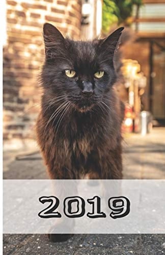 2019 Katzenkalender