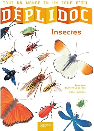 Insectes