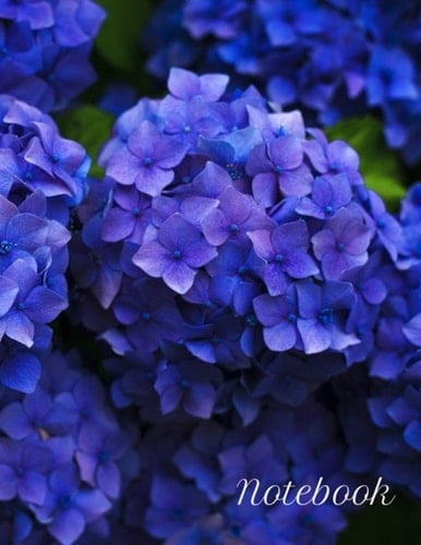 Notebook: Flowers - Purple Hydrangea Composition Notebook- College Ruled 200 pages (100 sheets) - Large 8.5 x 11