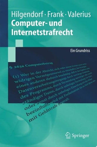 Computer- und Internetstrafrecht