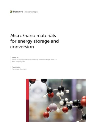 Micro/nano materials for energy storage and conversion