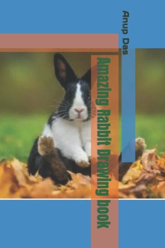 Amazing Rabbit Drawing book