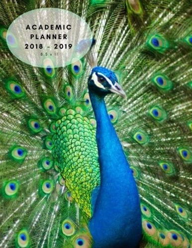 Academic Planner 2018 - 2019 - 8. 5 X 11 Academic Planner with Weekly Calendar from August 2018 to August 2019