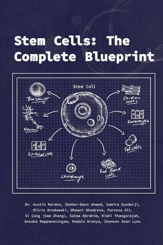 Stem Cells The Complete Blueprint