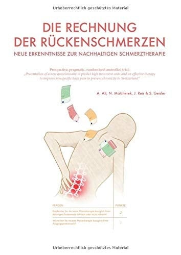 Die Rechnung der Rückenschmerzen - neue Erkenntnisse zur nachhaltigen Schmerztherapie: Prospective, pragmatic, randomised controlled trial (German Edition)