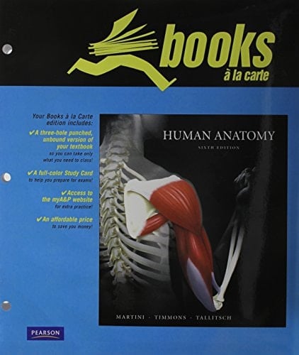 Human Anatomy