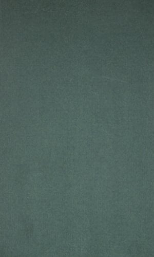 Social Work in a Multi-Racial Society