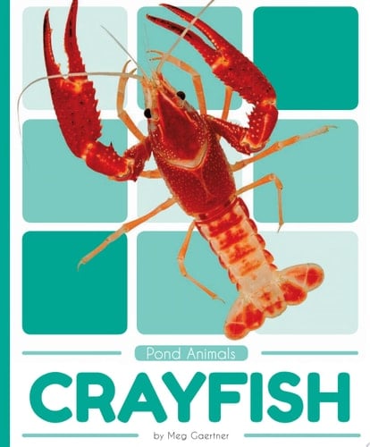Crayfish