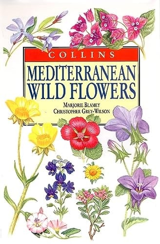 Mediterranean Wild Flowers