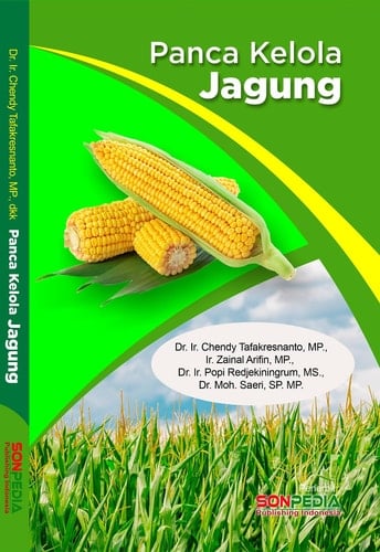 PANCA KELOLA JAGUNG