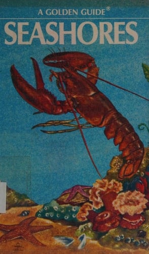 Seashores