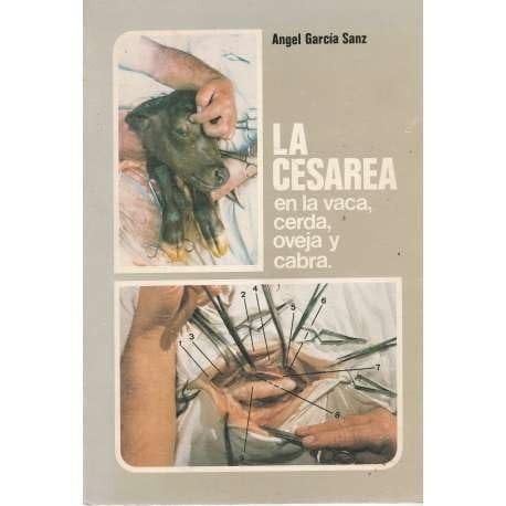 La cesárea en la vaca, cerda, oveja y cabra