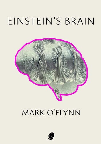 Einstein's Brain