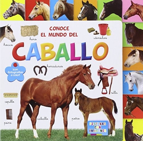 CONOCE EL MUNDO DEL CABALLLO