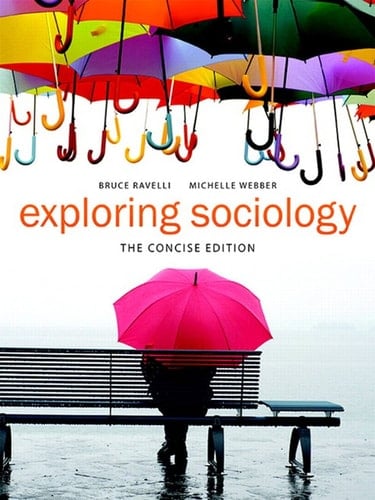 Exploring Sociology The Concise Edition,