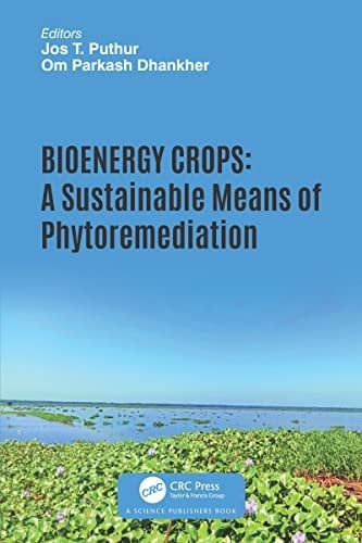 Bioenergy Crops A Sustainable Means of Phytoremediation