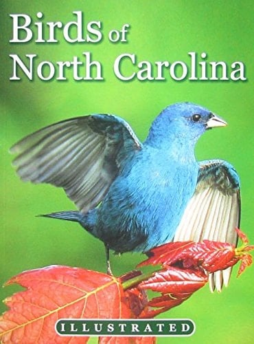 North Carolina's Illustrated Birds
